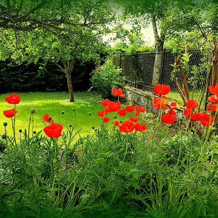 Bed & Breakfast Le Vieux Pommier Giat